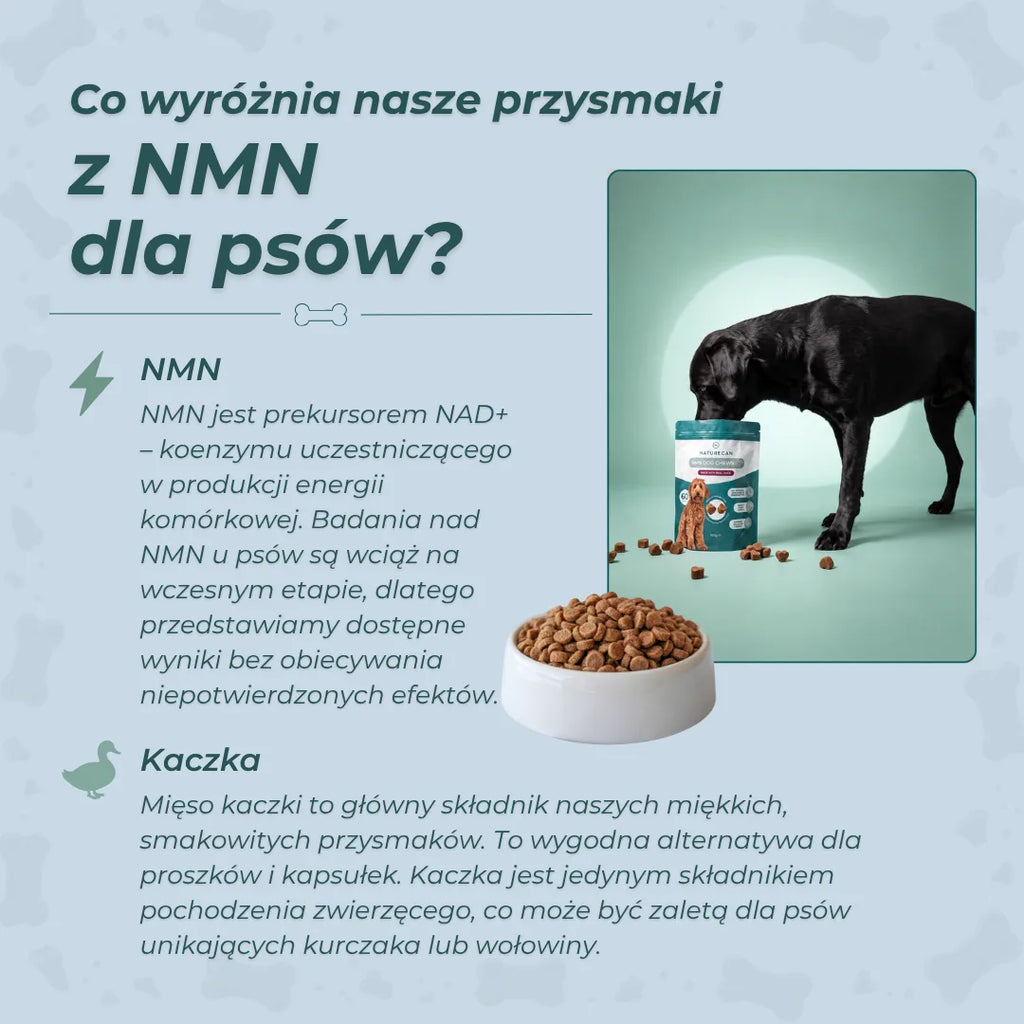 Infografika Naturecan wyjaśniająca rolę NMN jako prekursora NAD+ oraz obecność mięsa kaczki w przysmakach dla psów.