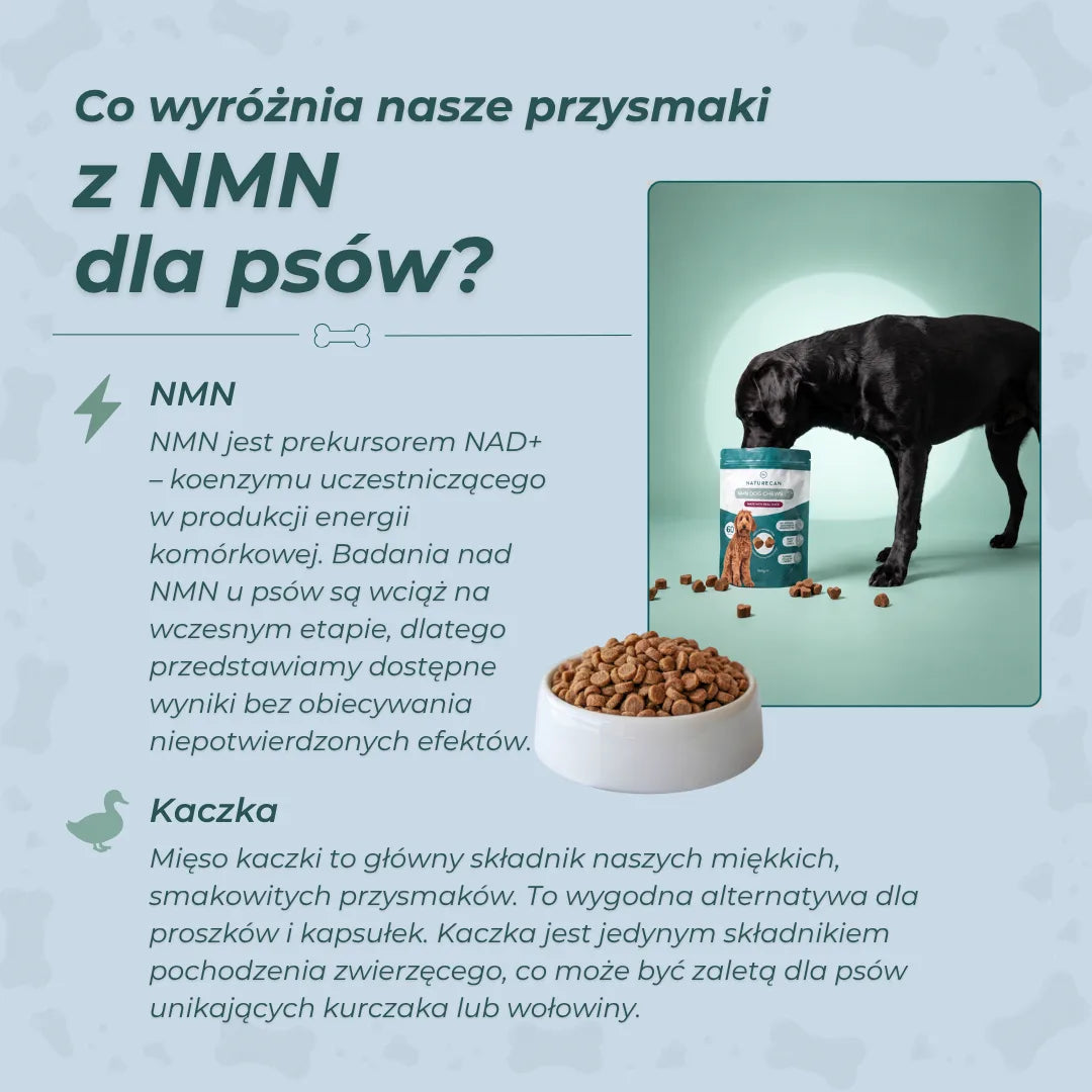 Infografika Naturecan wyjaśniająca rolę NMN jako prekursora NAD+ oraz obecność mięsa kaczki w przysmakach dla psów.