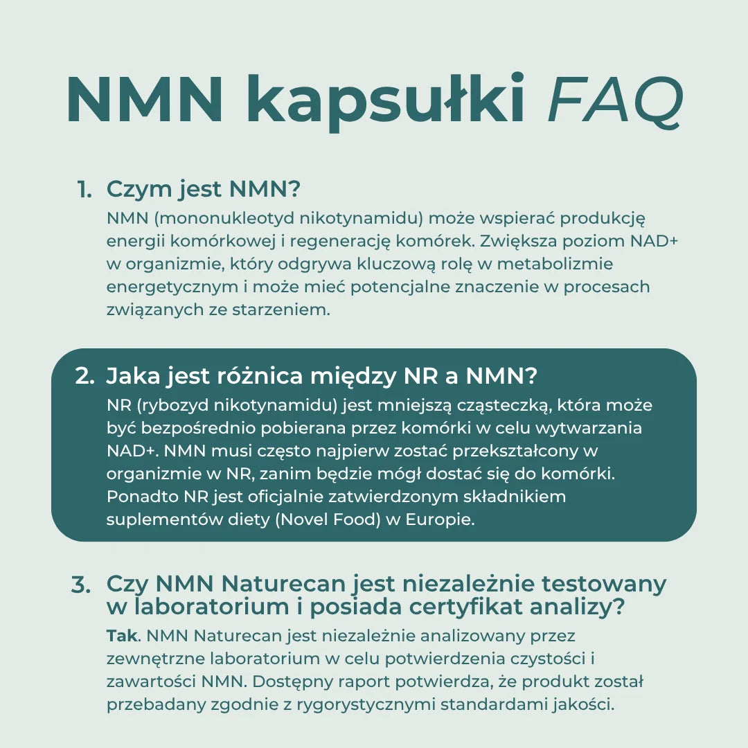 NMN FAQ – co to jest NMN, czym różni się od NR i jak jest testowany