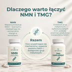 Infografika wyjaśniająca połączenie NMN i TMG oraz rolę grup metylowych w metabolizmie NAD+.