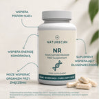 NR jako prekursor NAD+ – suplement wspierający poziom NAD+ i metabolizm energetyczny