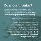 Badania naukowe o oleju z czarnuszki – wpływ na stres, sen i odporność