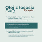 Najczęściej zadawane pytania o olej z łososia dla psa, dawkowanie, codzienne stosowanie i skutki uboczne