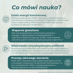 Działanie składników Pakietu anti-aging Naturecan – NMN, NAC i resweratrol a energia komórkowa, glutation i stres oksydacyjny