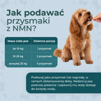 Jak podawać przysmaki z NMN dla psów – tabela dziennych porcji według masy ciała psa