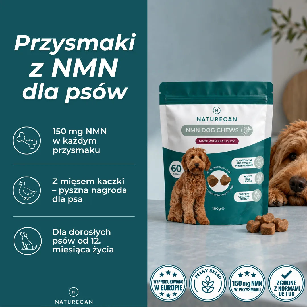 Przysmaki NMN dla psów Naturecan – 150 mg NMN w każdym przysmaku, mięso kaczki i przeznaczenie dla dorosłych psów.
