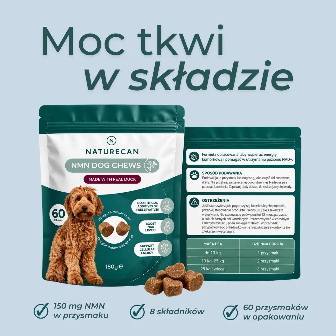 Skład przysmaków z NMN dla psów Naturecan – infografika przedstawiająca 8 składników i informacje o produkcie.