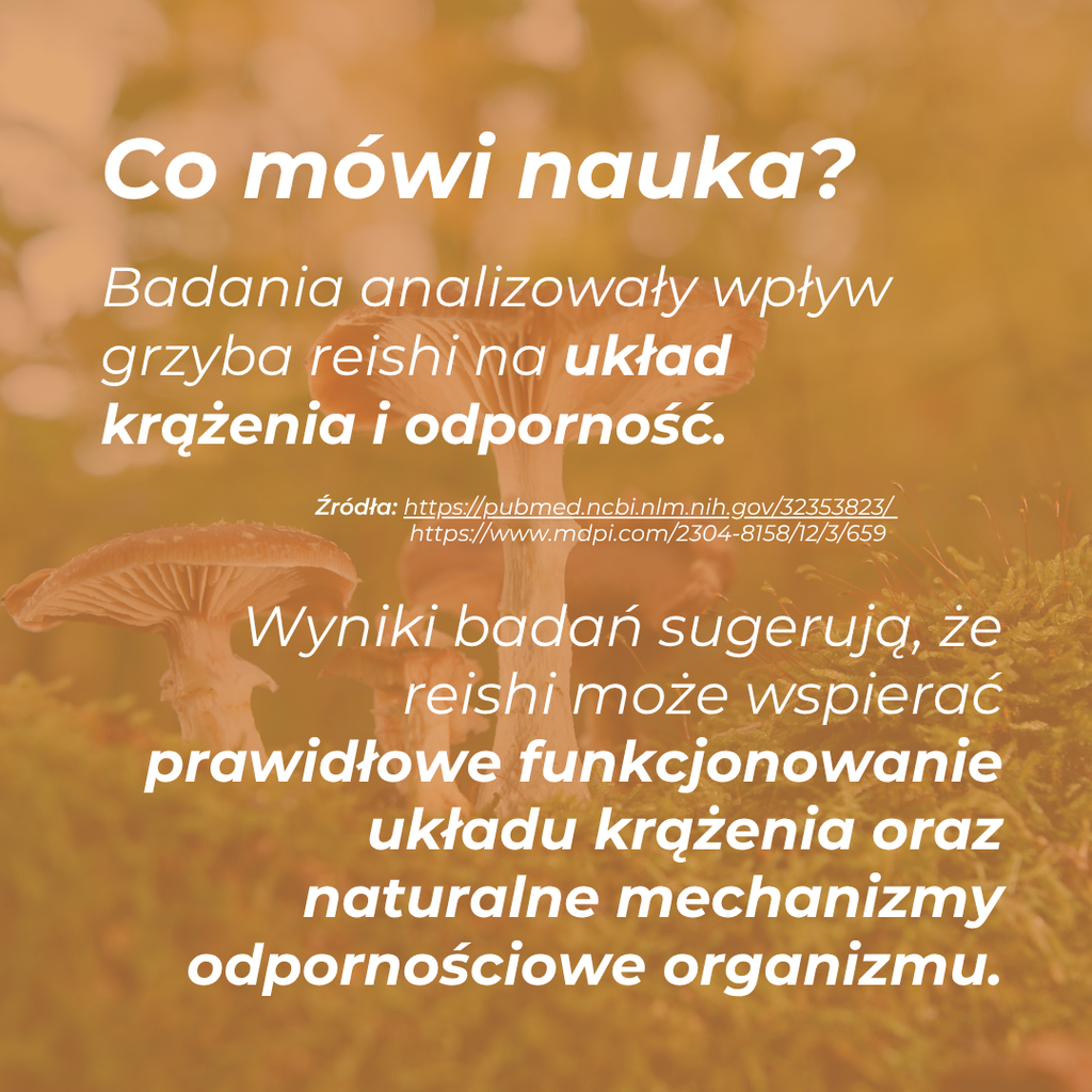 Reishi badania naukowe – wpływ na odporność i układ krążenia