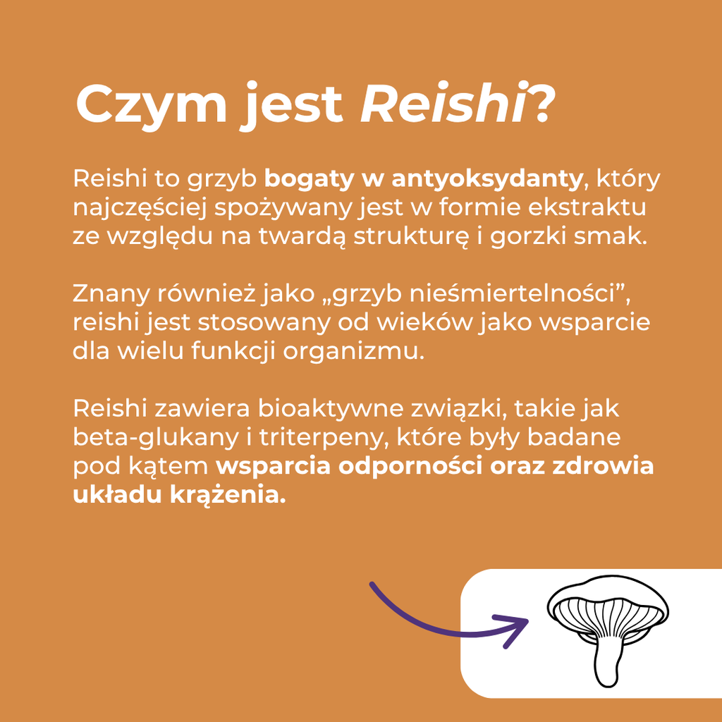 Czym jest reishi – właściwości grzyba reishi, antyoksydanty i wsparcie odporności