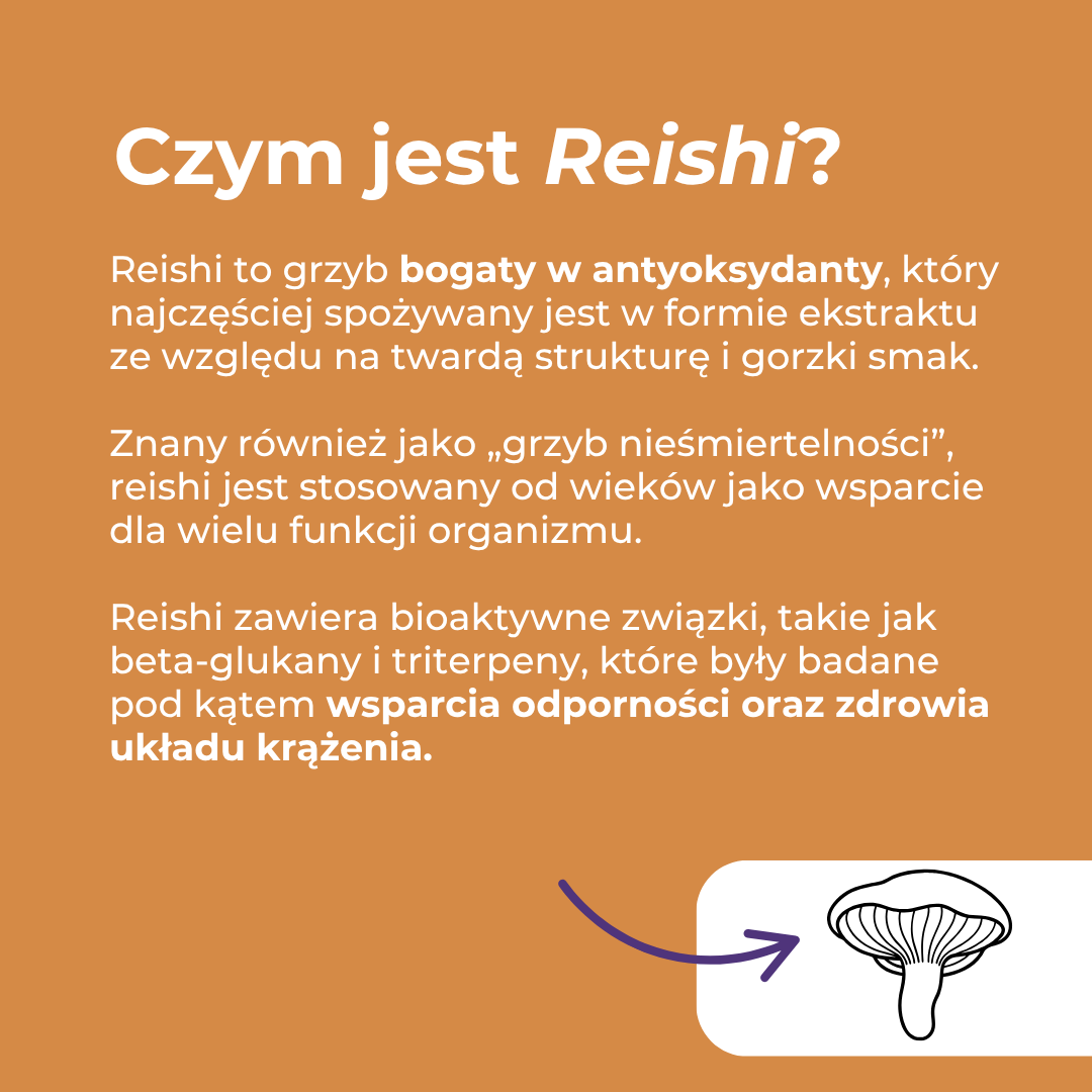 Czym jest reishi – właściwości grzyba reishi, antyoksydanty i wsparcie odporności