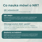 Rybozyd nikotynamidu NR i NAD+ – czym jest NR i jak działa jako prekursor NAD+