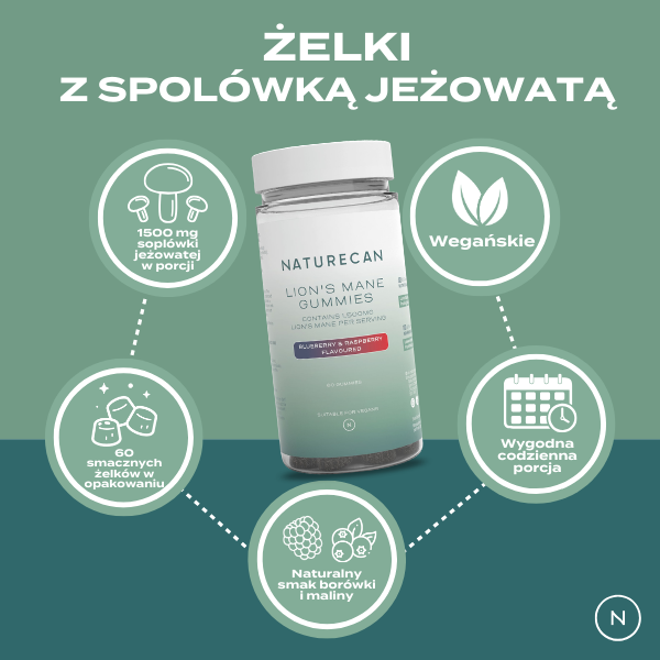 Soplówka Jeżowata Żelki