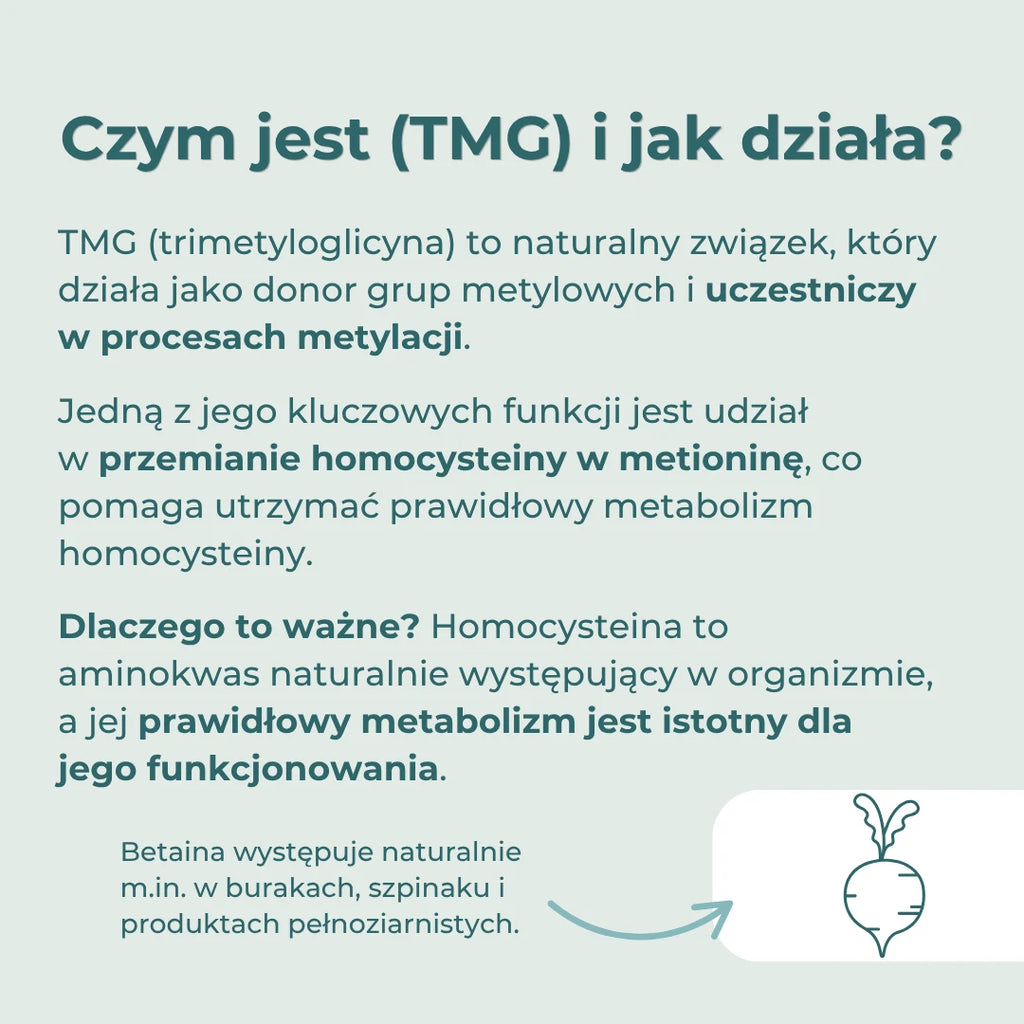 Infografika wyjaśniająca, czym jest TMG (trimetyloglicyna) i jak uczestniczy w metabolizmie homocysteiny.