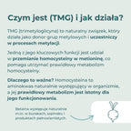 Infografika wyjaśniająca, czym jest TMG (trimetyloglicyna) i jak uczestniczy w metabolizmie homocysteiny.