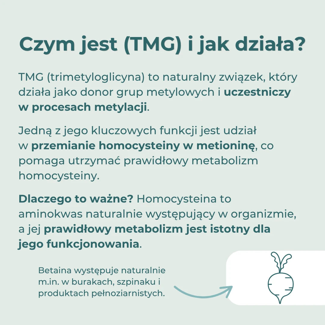 Infografika wyjaśniająca, czym jest TMG (trimetyloglicyna) i jak uczestniczy w metabolizmie homocysteiny.