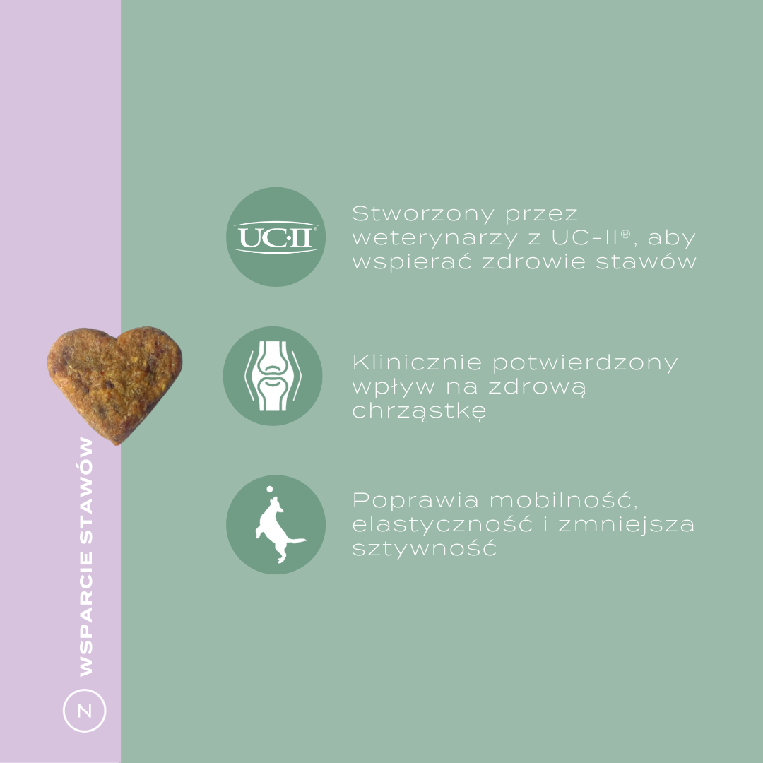 UC-II dla psów – klinicznie potwierdzone działanie, opracowane przez weterynarzy