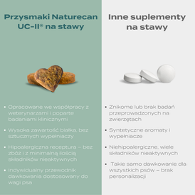 Porównanie przysmaków na stawy UC-II Naturecan z innymi suplementami – większa skuteczność i lepszy skład