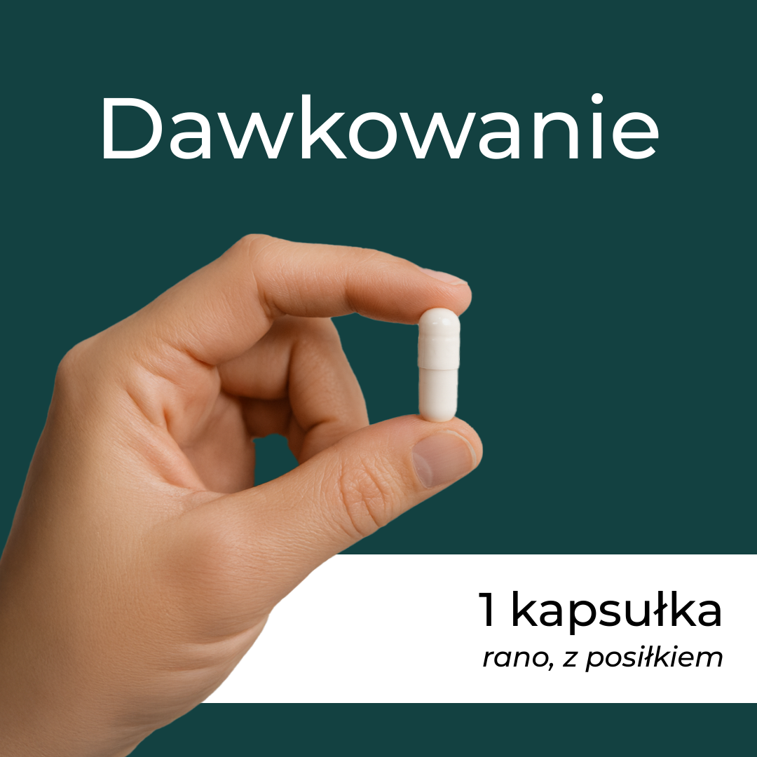 Dawkowanie Urolithin A – jedna kapsułka dziennie, najlepiej z posiłkiem.