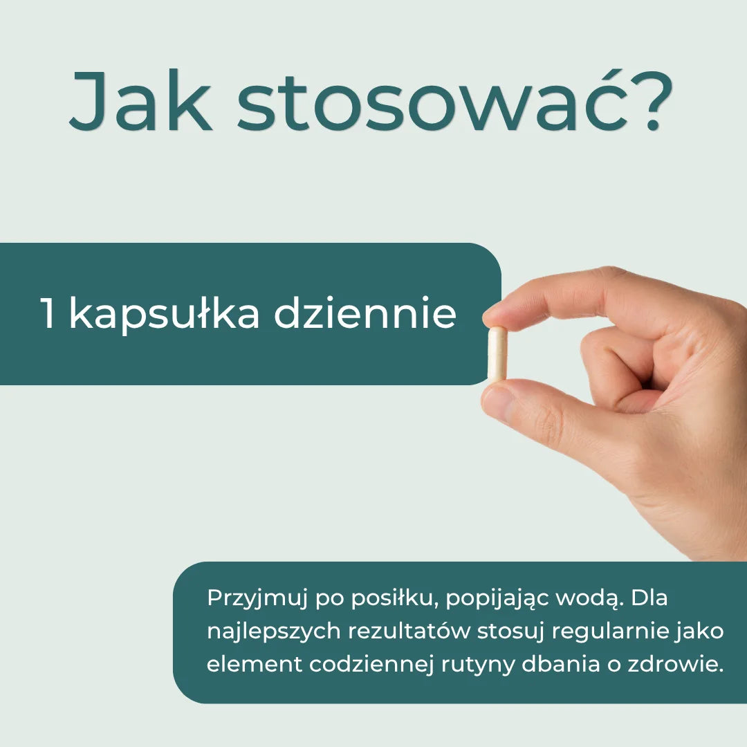 Jak stosować urolitynę A – jedna kapsułka 500 mg dziennie