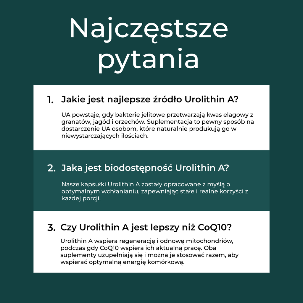 Najczęstsze pytania o Urolithin A – źródła UA, biodostępność, porównanie z CoQ10