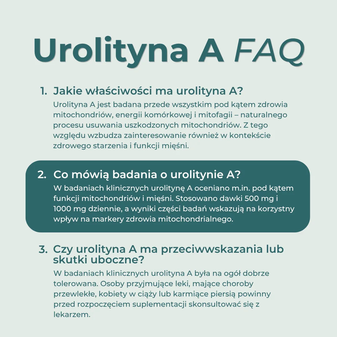 Urolityna A FAQ – właściwości, badania, przeciwwskazania i skutki uboczne