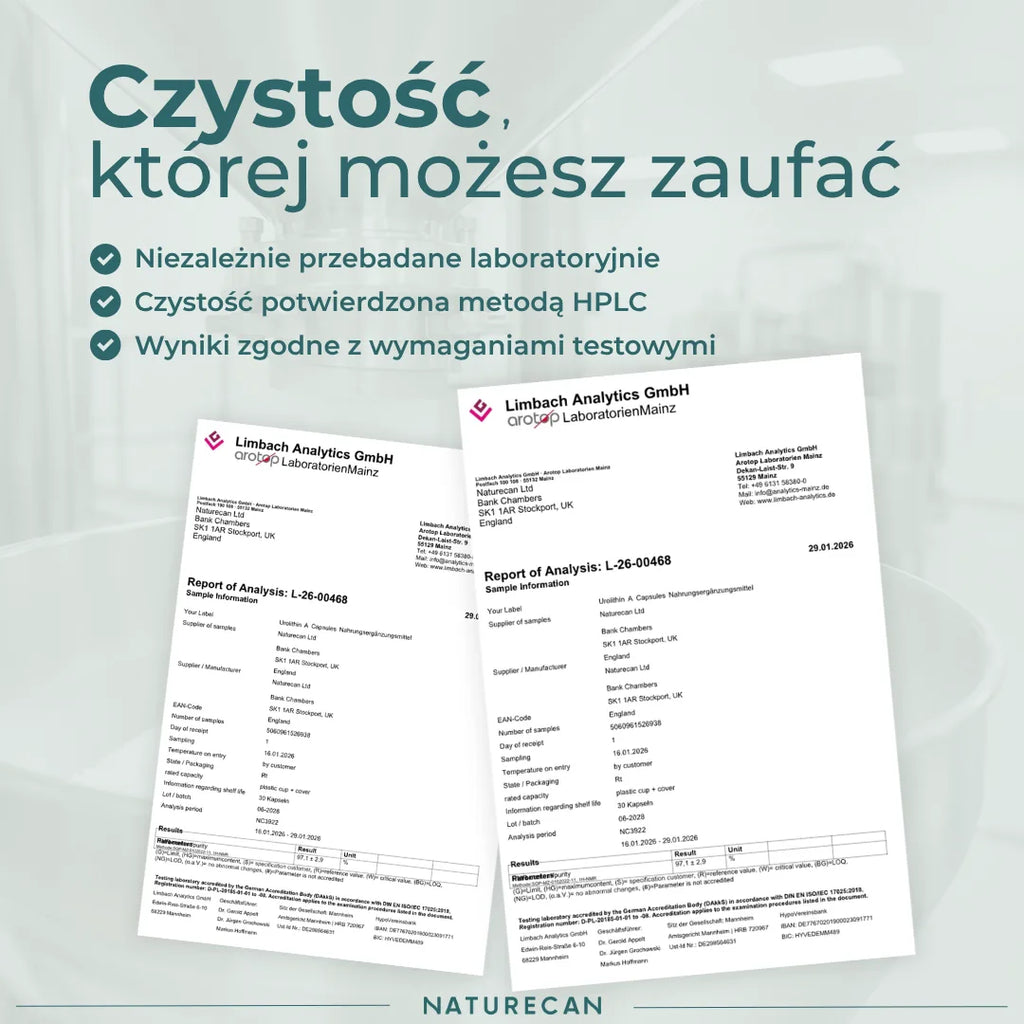 Urolityna A badania jakości – CoA, niezależne testy i potwierdzona czystość suplementu