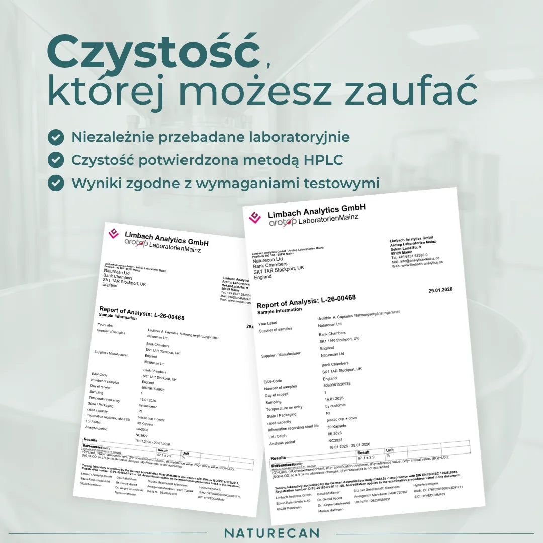 Urolityna A badania jakości – CoA, niezależne testy i potwierdzona czystość suplementu