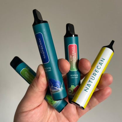 Cztery jednorazowe waporyzatory Naturecan CBD/CBG w różnych smakach trzymane w dłoni.