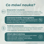 Infografika o żelazie, które pomaga zmniejszyć zmęczenie i znużenie oraz wspiera prawidłową produkcję czerwonych krwinek, funkcje poznawcze i odporność.