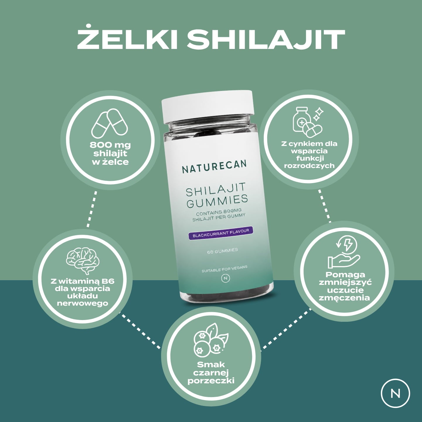 Infografika przedstawiająca najważniejsze cechy żelek Shilajit Naturecan: 800 mg shilajit w żelce, witamina B6, cynk, wsparcie energii i smak czarnej porzeczki.